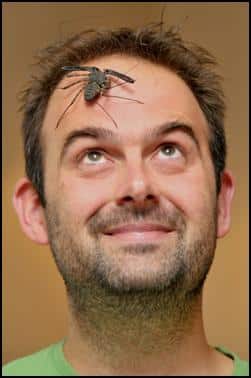 Jonathan with a whip tailed spider on his head