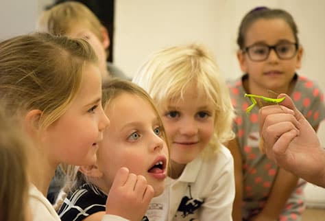 Children looking at Praying Mantis at party