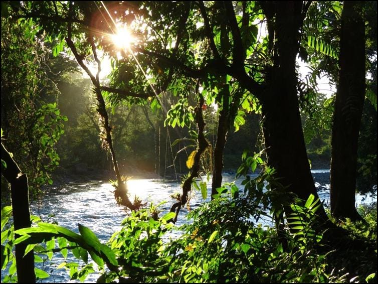 Costa Rica Jungle and River