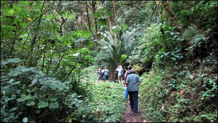 Costa Rica!!! - Jonathan's Jungle Roadshow