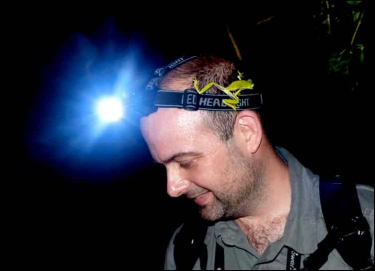 dark-eyed leaf frog (Agalychnis spurrelli) on Jonathan's head