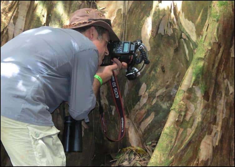 Nick Baker taking some macro photographs of the Lantern Bug