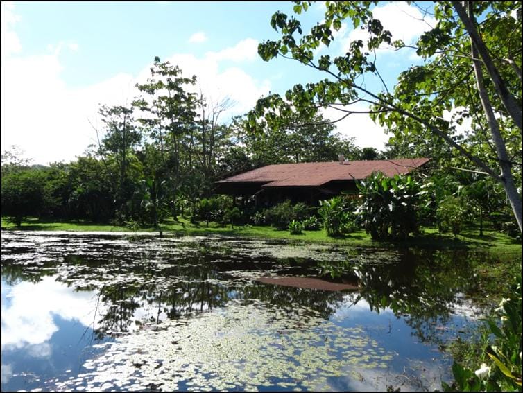 Lagoon-side restaurant at Maquenque Eco-Lodge