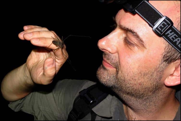 Jonathan examining whip spider