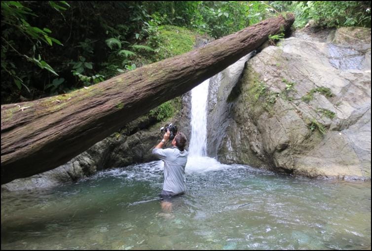 Nick Baker photographing central American huntsman spiders