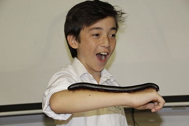 Excited child handling a millipede