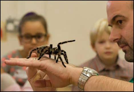 Jonathan with a Tarantula on the back of his hand