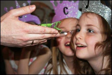 Children looking at a Praying Mantis at a party